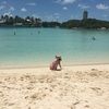 taylor_bourque